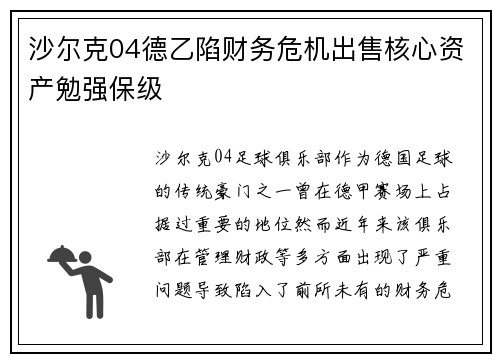 沙尔克04德乙陷财务危机出售核心资产勉强保级 沙尔克04德乙陷财务危机出售核心资产勉强保级