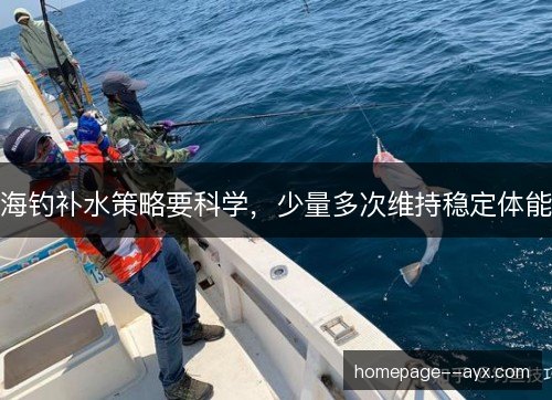 海钓补水策略要科学,少量多次维持稳定体能 海钓补水策略要科学,少量多次维持稳定体能
